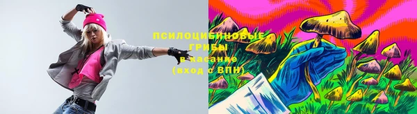 трава Верхнеуральск