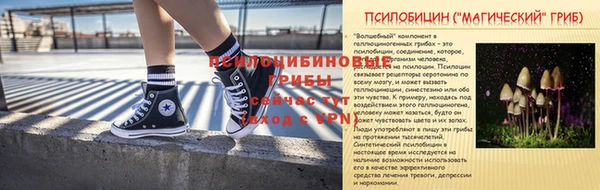 прущая мука Верея