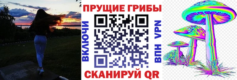Галлюциногенные грибы Psilocybine cubensis  Тбилисская 