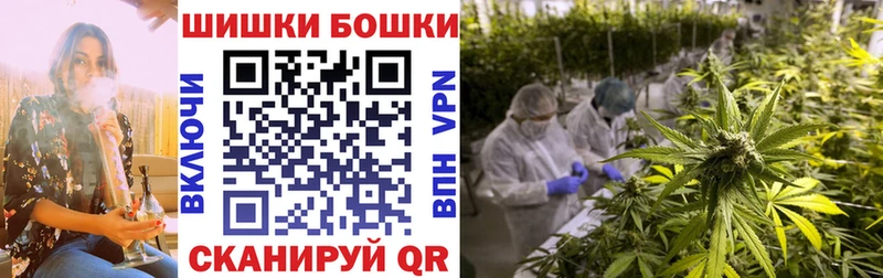 МАРИХУАНА семена  что такое   МЕГА ТОР  Тбилисская 